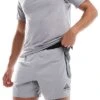 Nike Running Trail Dri-FIT Logo 5 Inch Shorts In Grey For Men 2 Nike Running Trail Dri-FIT Logo 5 Inch Shorts In Grey For Men -Nike Sales Store 206616421 1 grey